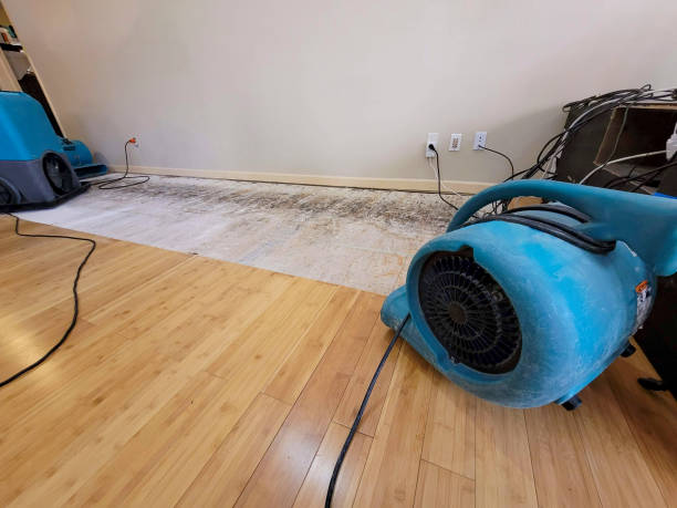 Professional Flood Damage Cleanup technician working in Hopewell, TN